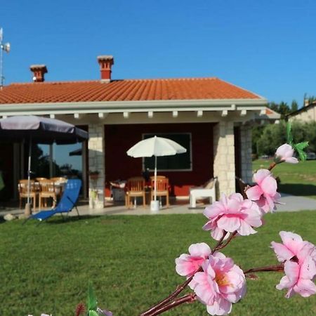 Апартаменты Rosa Dei Venti Sul Garda Бардолино Экстерьер фото
