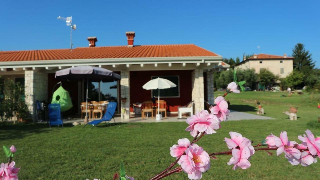 Апартаменты Rosa Dei Venti Sul Garda Бардолино Экстерьер фото